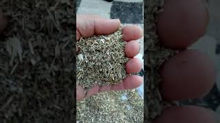 تصدير اعشاب ونباتات طبية وعطرية مصر الفيوم subscribe youtubeshorts