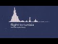 Flight To Tunisia YouTube Audio Library Music Song
