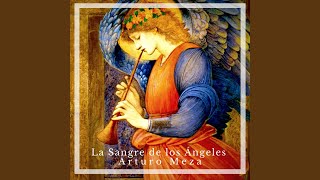 Video thumbnail of "Arturo Meza - Ángel Guardián"