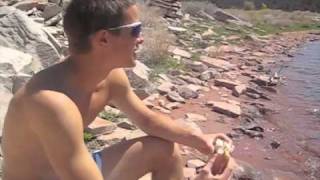 Road trip USA : Les toits des Etats Unis.
