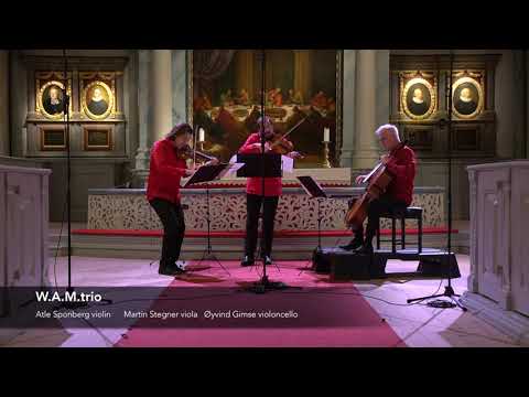 Mozart Divertimento KV 563 Allegro