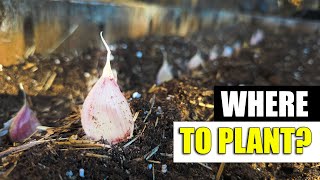 Where To Plant Your Garlic - Garden Quickie Episode 169