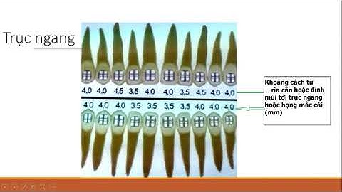 Cách gắn mắc cài