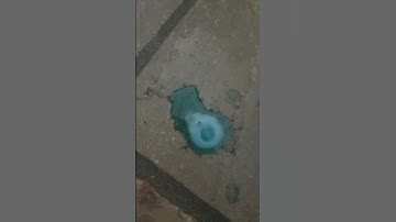 Vtech Startup And Shutdown {Singing Happy Birthday on the way Home Version)