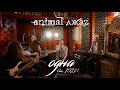 Animal ДжаZ — Одна (Акустика, Live, 2021)