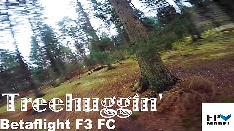 Treehuggin