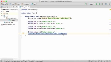 51.Java Tutorial - #51 - startsWith() Method
