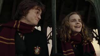 Hermione Talk About Viktor - Harry Potter And The Goblet Of Fire