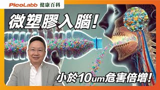 【健康百科】小心埋下大腦炸彈🧠💣！從茶包🫖到鋁罐🥤，微塑膠粒真的無處不在嗎？