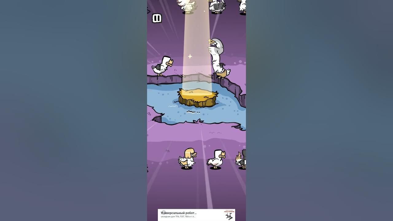 игра уточки - YouTube
