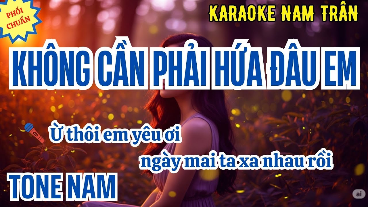 Karaoke Không Cần Phải Hứa Đâu Em Tone Nam | Nam Trân