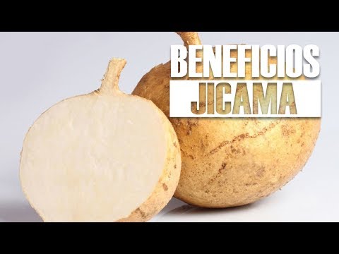 Video: ¿A qué sabe la jícama?