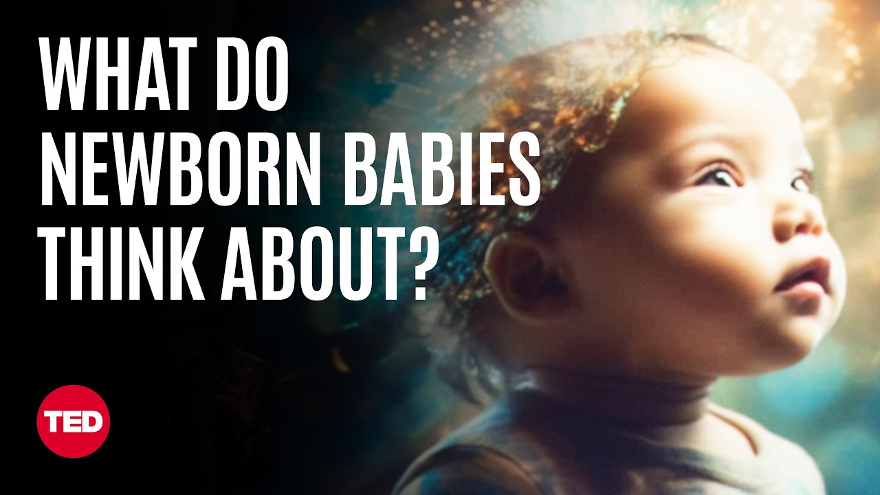 Exploring a Newborn’s Perspective | Claudia Passos Ferreira | TED – Video