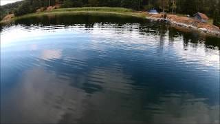 Johan and Alejandra's island day