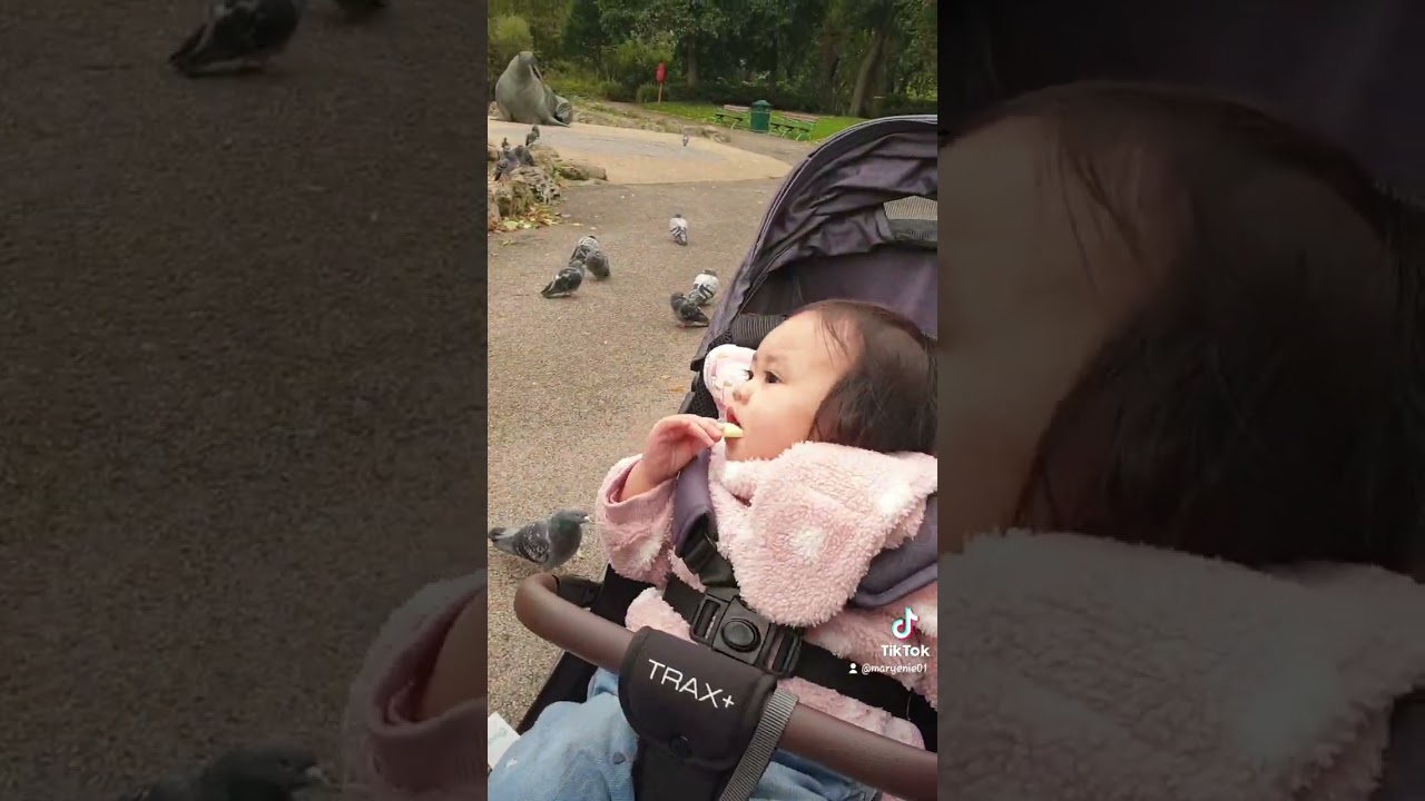 Sunderland Central Park                            