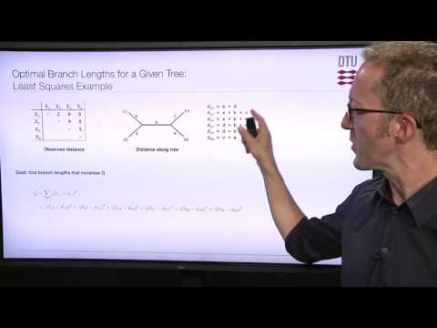 Distance Matrix Methods, part 2