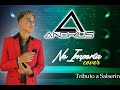 Andrius no importa cover