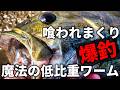 【釣れすぎて紹介するか迷った】春の気難しいバスを喰わせまくった魔法のワーム【バッツ】【新作】【ルアー】