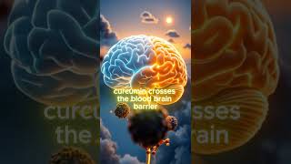 10 Foods That Boost Your Memory and Focus 🔥