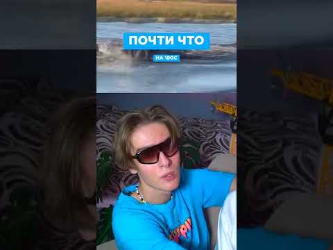 Почему лев на самом деле не царь зверей? #лев