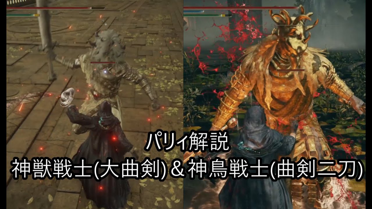 【来たれDLC！】神獣戦士・神鳥戦士　パリィ解説【ELDENRING / ELDENRING NIGHTREIGN】