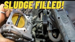 Engine Problems at 50,000 Miles! P0016 P0017 Toyota FJ Cruiser 4.0 1GRFE