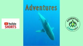 Adventure Campitelli Youtube #shorts