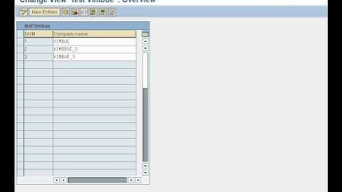 SAP ABAP- Maintenance Generator Vimbue.avi