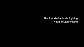 The Sound of Animals Fighting- Another Leather Lung