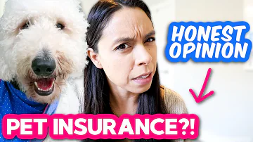 Does Allstate have breed restrictions?