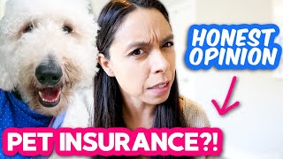 Pet Insurance 👉 Is it REALLY worth it?? 🤔 Here's the sad truth...