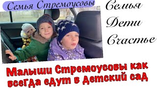 Малыши Стремоусовы как всегда едут в детский сад