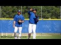 Richard Urena defense ground balls - Toronto Blue Jays SS prospect