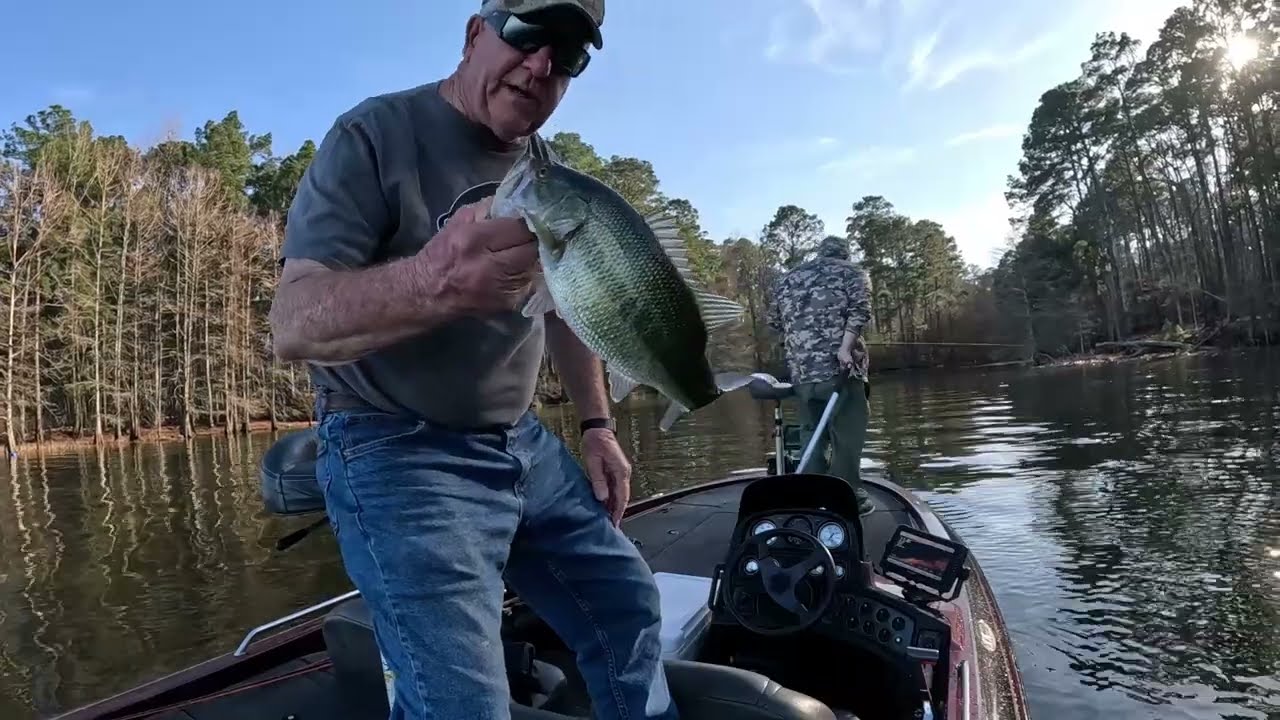 Foggy mornings and sunny afternoons | BASS FISHING TOLEDO BEND