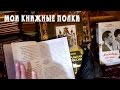 Мои книжные полки