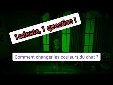 Vidéo: Comment Changer La Couleur Du Chat