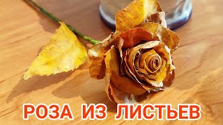 КАК СДЕЛАТЬ КРАСИВЫЕ РОЗЫ ИЗ ЛИСТЬЕВ // ОСЕННИЙ ДЕКОР СВОИМИ РУКАМИ