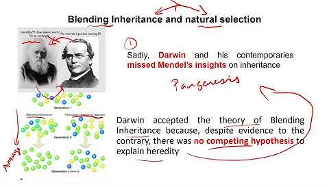 Blending inheritance