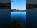 Главное, что клюет ASMR #рыбалка #fishing #shorts #short