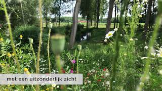 De Blauwe Poort - Bachte-Maria-Leerne