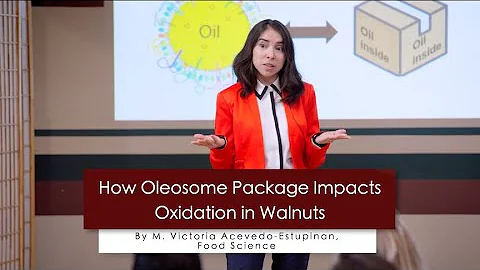 UMass Amherst Three Minute Thesis 2025 Runner-up: Victoria Acevedo Estupinan