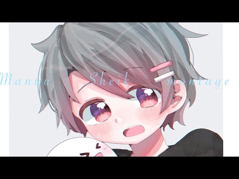 Manuu sheik montage〜シーク撃墜集【スマブラSP】(KING×エンヴィーベイビー／Kanaria)