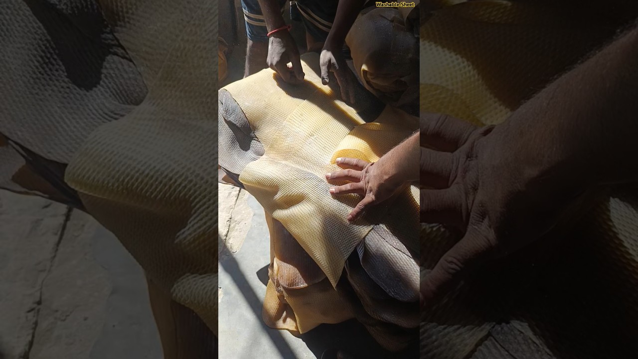 Washing Natural Rubber Sheet