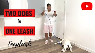 Two Small Dogs in One Leash - Multi-function Leash with Snapleash