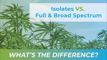 Isolates vs. Full & Broad Spectrum: What