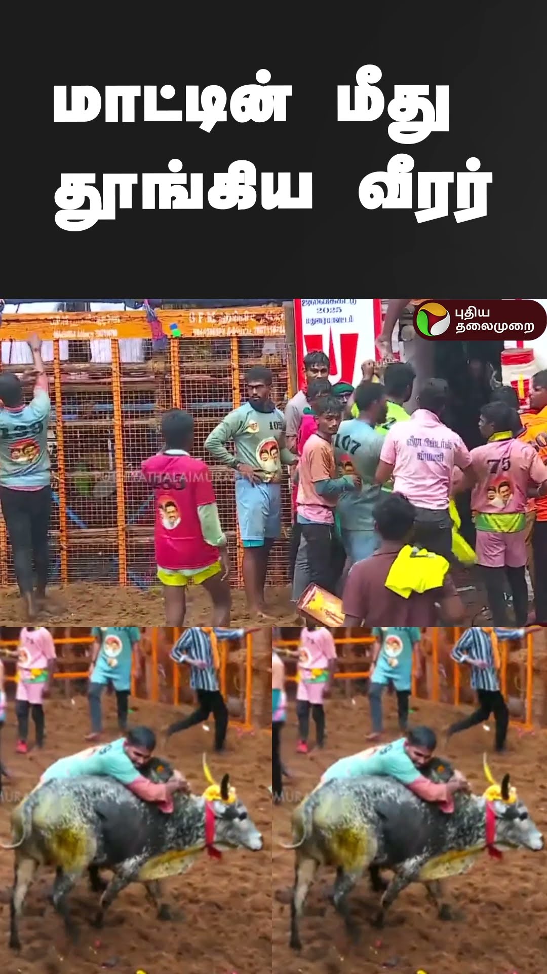 மாட்டின் மீது தூங்கிய வீரர்  | #shorts | #jallikattu