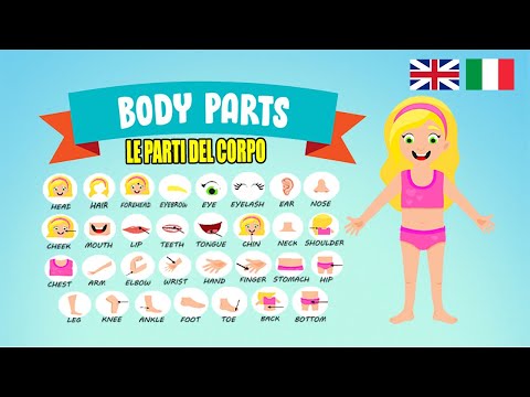 Parti del Corpo in Inglese | Body Parts Vocabulary in English