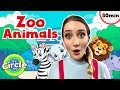 Zoo animals for toddlers  sing dance  learn with miss sarah sunshine