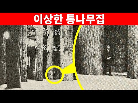 사라진 세계의 가장 큰 통나무집: 무슨 일이 있었던 거죠?