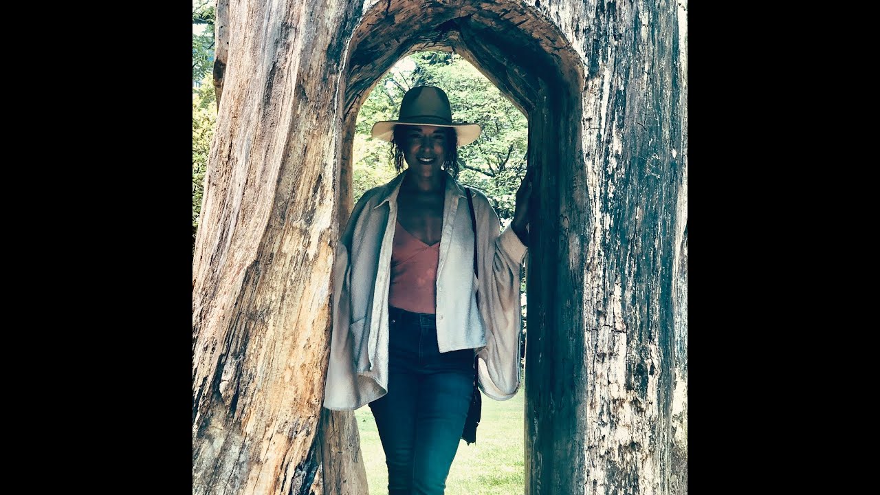 Don't Come Knocking (Lyrics) (Transcribed for other languages)